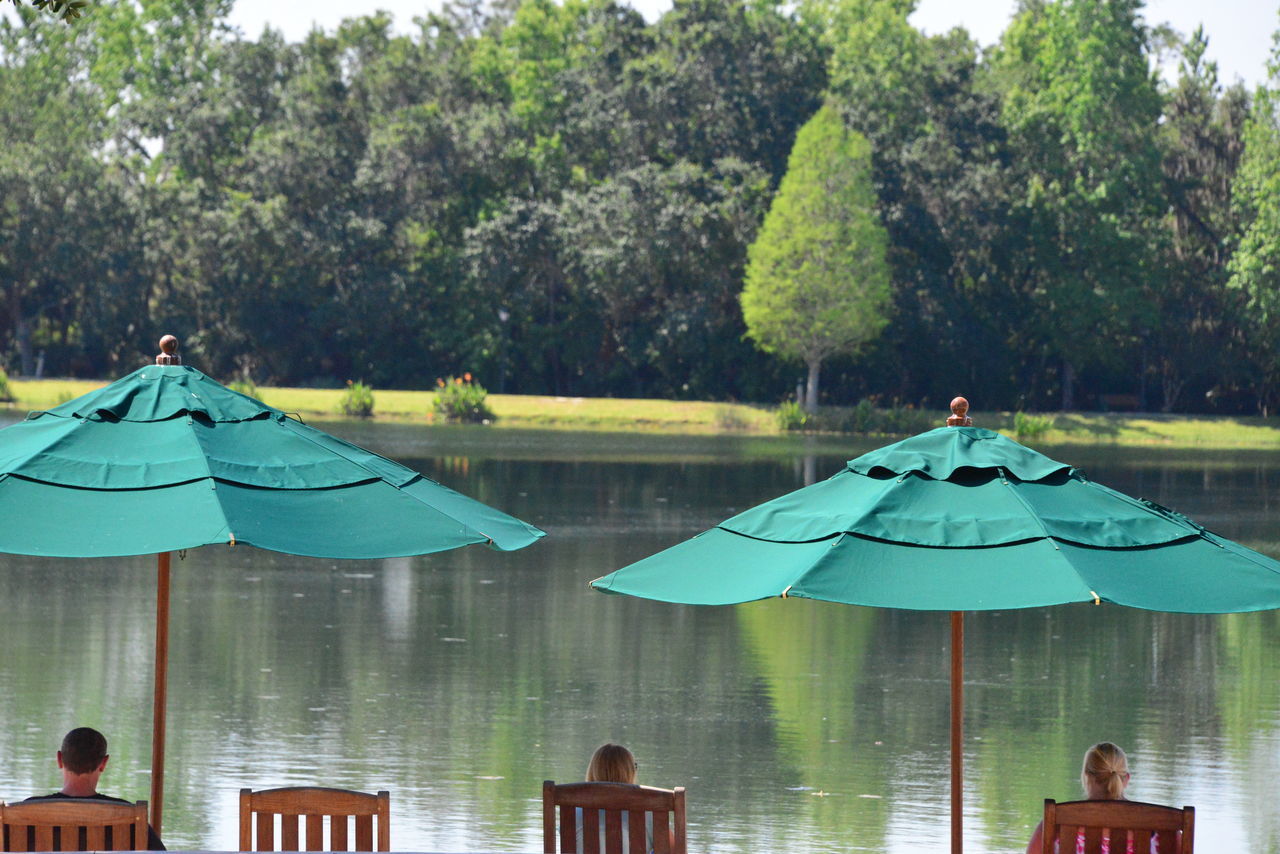 tree, water, day, men, green color, outdoors, nature, real people, women, people