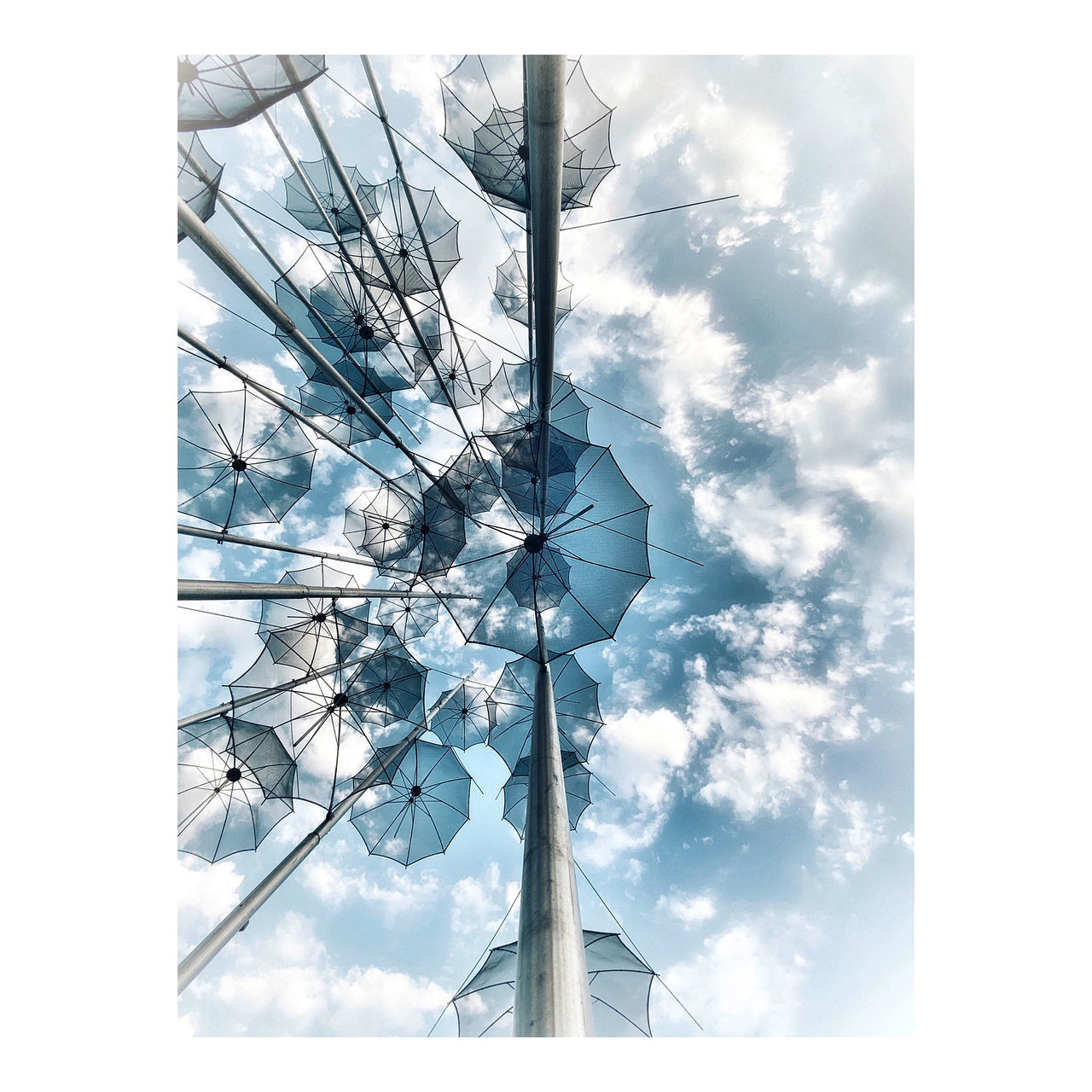 DIGITAL COMPOSITE IMAGE OF PLANTS AGAINST SKY