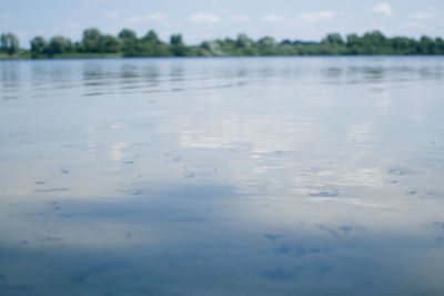 Reflection of trees in water