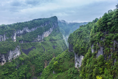 Panoramic view of trees and mountains against sky