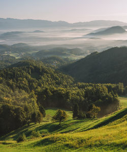 Early morning light over fogy hills