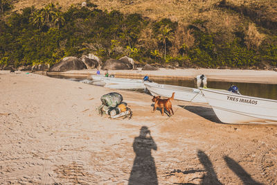 Shadow of people on the beach