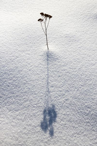 High angle view of snow on field