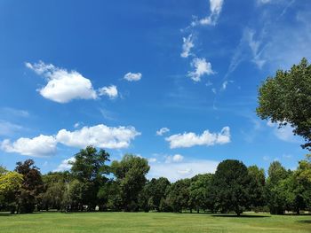 Trees on field against sky