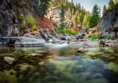 View of middle fork payette river in forest