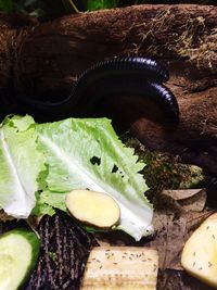 Close-up of vegetables