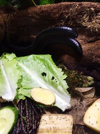 Close-up of vegetables