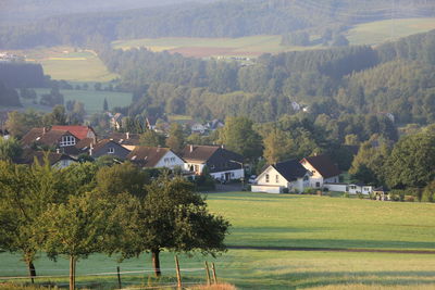 Trees and houses on field against buildings