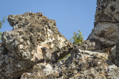 Low angle view of rock formation against clear blue sky