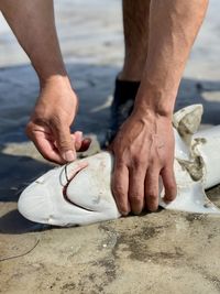 Close-up of man preparing food at beach