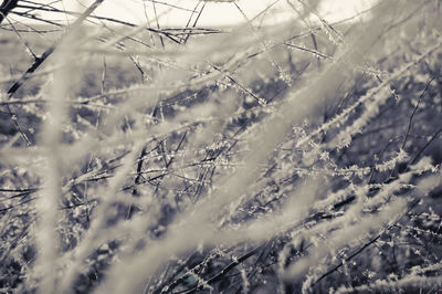 Full frame shot of snow on field