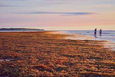 People walking on beach against sky during sunset