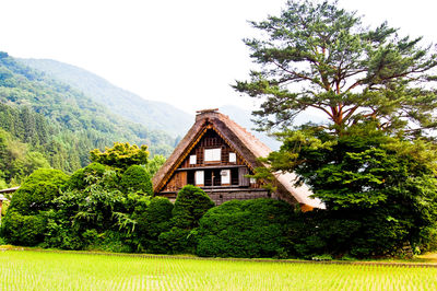 Houses and trees
