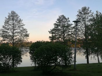 Trees by lake against sky