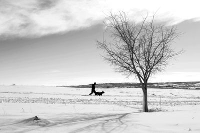 Bare tree on field against sky during winter