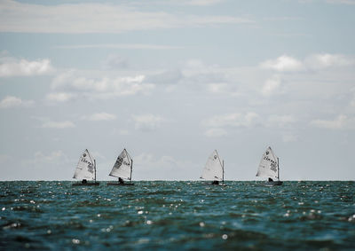 Sailboat sailing in sea against sky