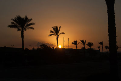 Silhouette of palm trees at sunset