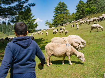 Rear view of man standing on field