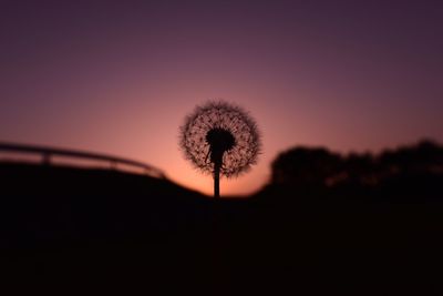 Close-up of silhouette dandelion against sky during sunset