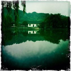 Reflection of trees in water