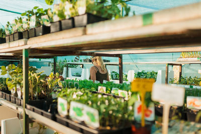 Potted plants on table at market stall