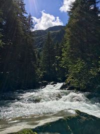 Scenic view of waterfall in forest against sky