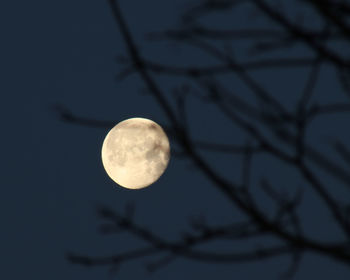 Low angle view of moon against sky at night