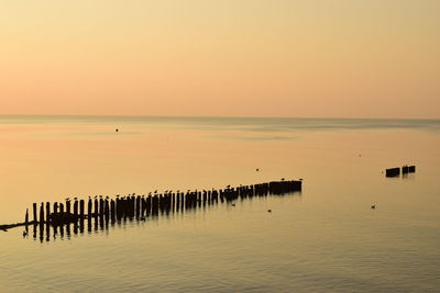 Wooden posts in sea against sky during sunset