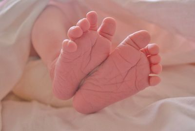 Low section of baby feet