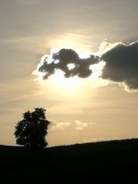 Silhouette trees on field against sky at sunset