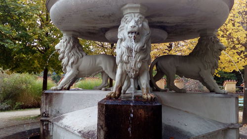 Statue of lion