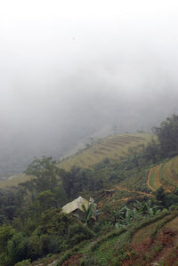 High angle view of landscape