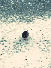 High angle view of water