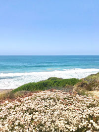 Scenic view of beach against clear blue sky