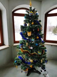 Close-up of christmas tree in window