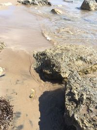 Scenic view of beach