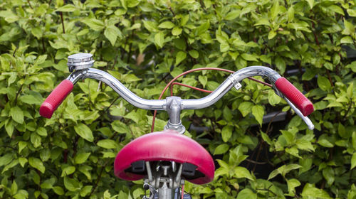 Close-up of bicycle parked by plants
