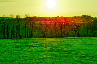 Scenic view of field against sky during sunset