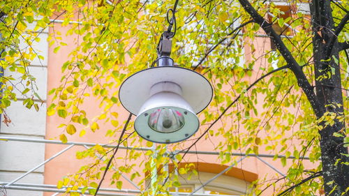 Low angle view of street light against wall