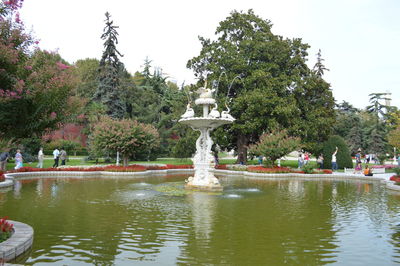 Fountain in a river