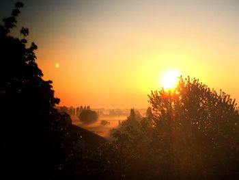 Sun shining through trees