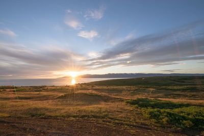 Scenic view of field against sky during sunset