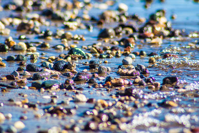 Close-up of pebbles on beach