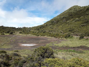 Scenic view of landscape against sky