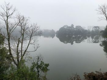 Reflection of trees in lake against sky