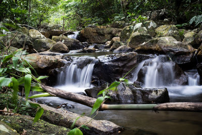 Scenic view of waterfall in forest