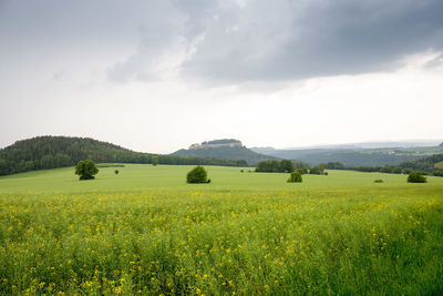 Scenic view of green landscape against sky