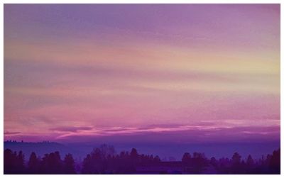 Silhouette trees against sky during sunset