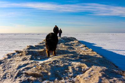 People with dog on snow covered land