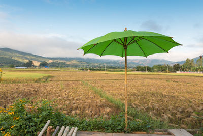 Green farm against sky